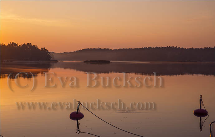 Gryningsdimmor - foto av Eva Bucksch